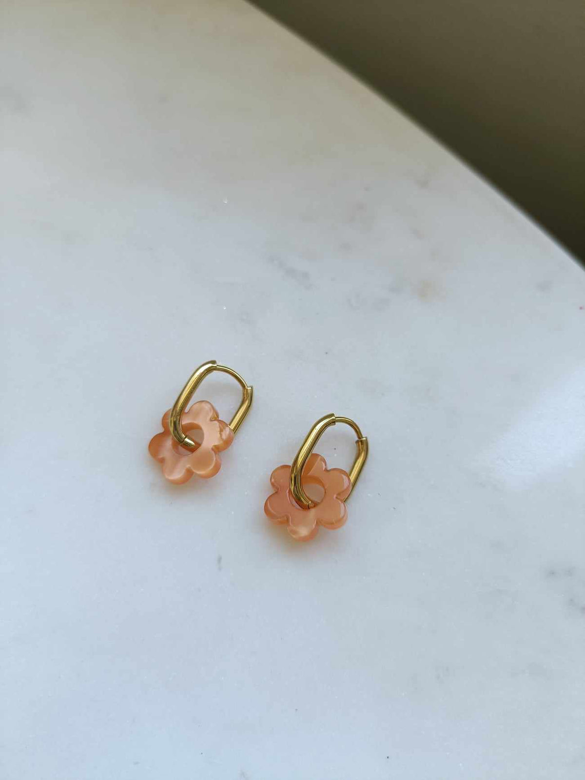 Boucles d'oreilles en acier inoxydable et résine - Janis