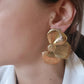 Boucles en acier inoxydable - Aliéna